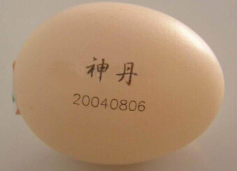 广州鸡蛋生产日期激光打码机，蛋壳标刻激光打标机设备厂家