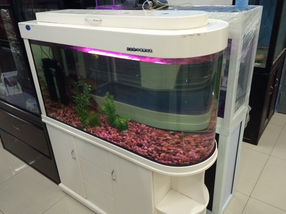 大型亚克力鱼缸定做|专业的生态鱼缸提供商—苏州佳家水族馆