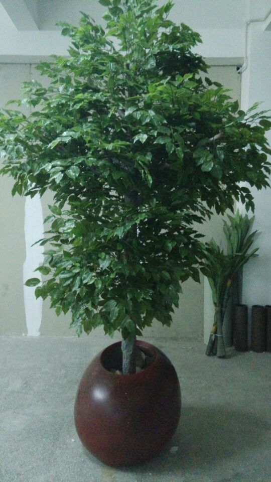 仿真葵树 仿真大树 供应各类仿真植物