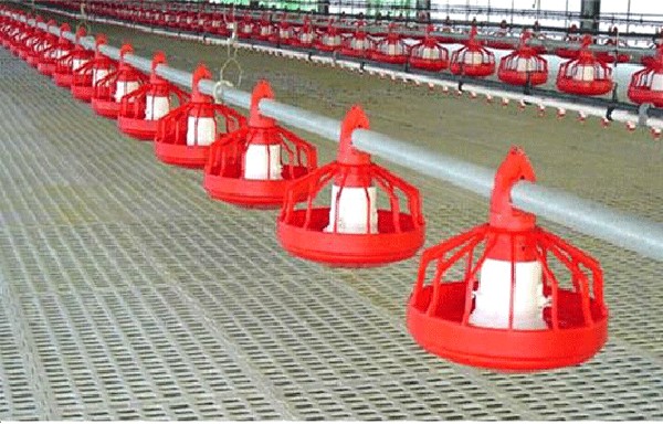 华邦农牧机械公司提供实用的养鸡饮水器：山东方管水线**球阀