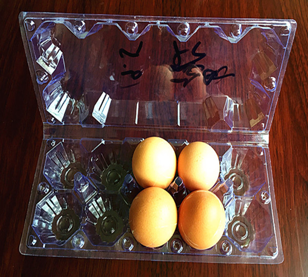 笨鸡蛋厂家：品牌好的十只装吸塑鸡蛋盒，达康吸塑包装材料公司提供