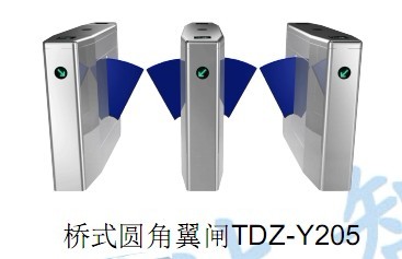 TDZ-Y202立式翼闸