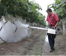 果园喷雾机打药机可以选择杀虫工具