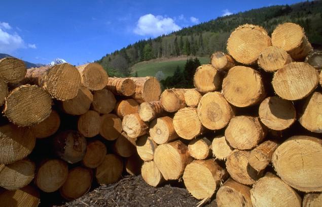 宁波江东江北等木材进口商品国家标准