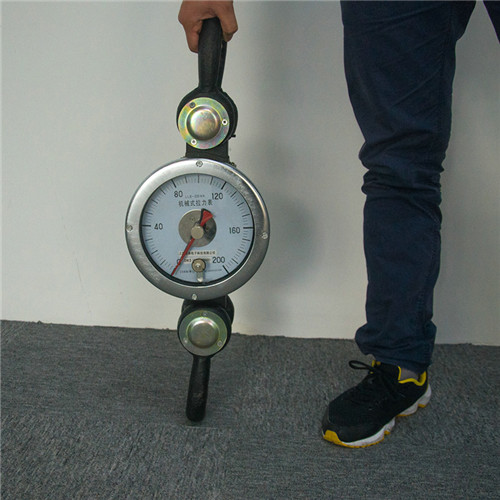 重量检测秤 重量检测机 重量分选秤 检测秤厂家