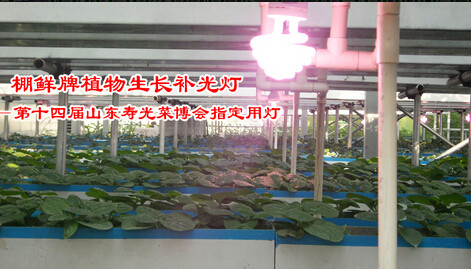 潍坊温室植物补光灯_ 荐 的温室植物补光灯价格