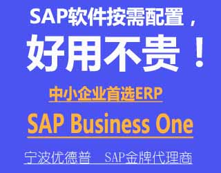 宁波SAP Business One 优德普SAP代理商