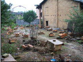 长沙浏阳养蜂场*蜜蜂卖出蜂蜜信誉保证
