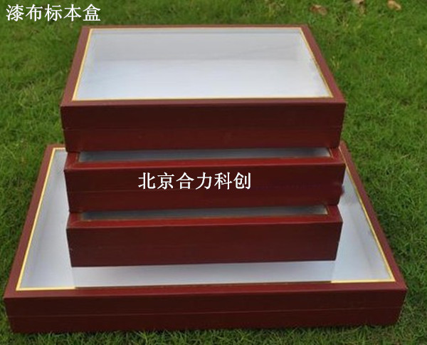 标本盒 实木漆布标本盒 昆虫标本盒 现货直销