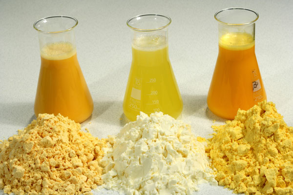 蛋黄粉 食品级 优质营养强化剂 河南万轩直供