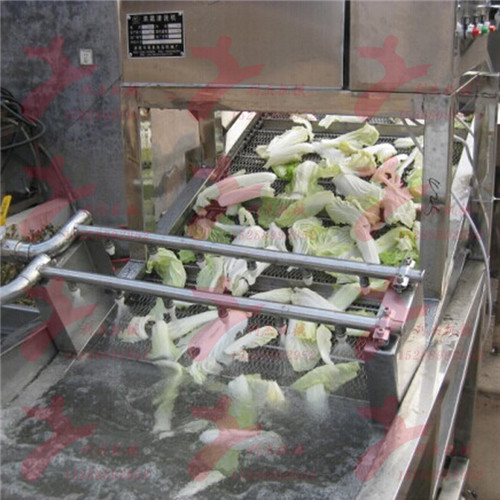 供应 蔬菜清洗机 利杰全自动臭氧杀菌清洗机/去除农药残留