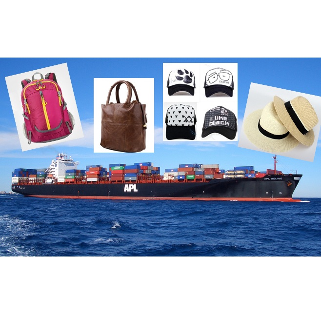国际海运 美国LDP 美国清关送货服务 轻纺-帽包