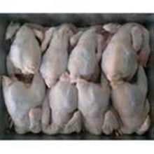 柳州低价销售冷冻白条鸡生产厂家电话