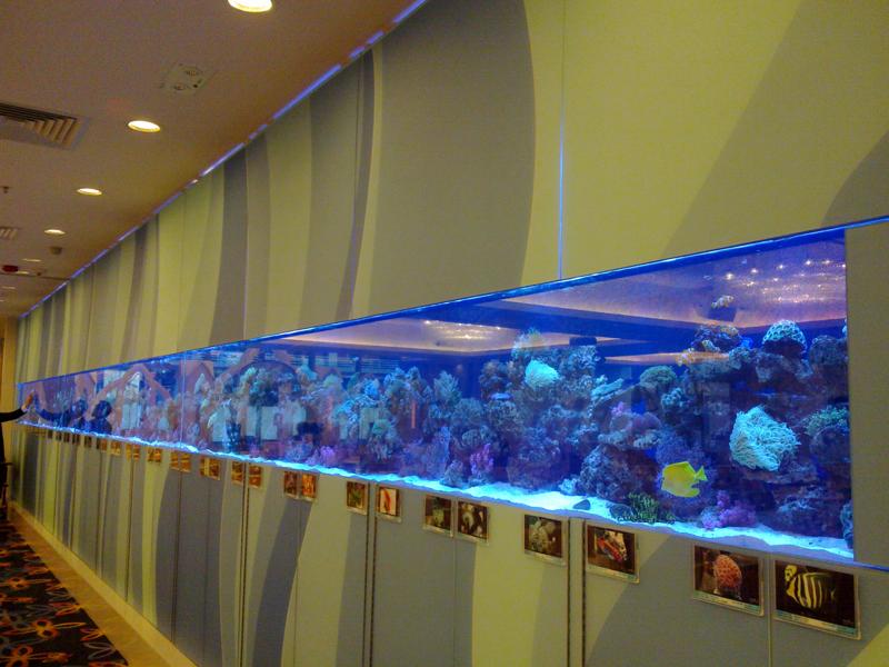广州亚克力鱼缸，大型亚克力鱼缸定做，亚克力鱼缸造景设计，大型亚克力观赏鱼缸设计安装