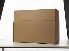 厦门彩色印刷纸箱：**的鞋盒，绿园包装提供