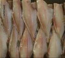 安庆冷冻黄菇鱼批发市场，冷冻黄菇鱼厂家价格