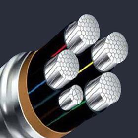 YJLV铝芯聚氯乙烯绝缘电力电缆 特变电缆厂家