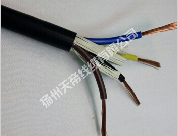无氧铜AVVR,RVV电源线价格 扬州专业电缆厂家