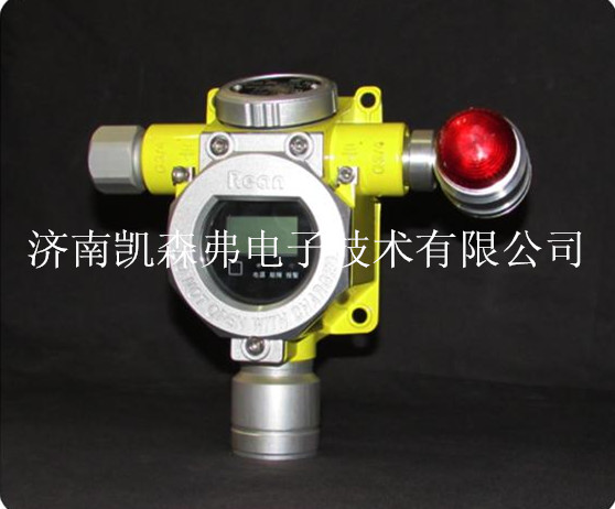 RBK-6000-ZL9/30二氧化硫报警器