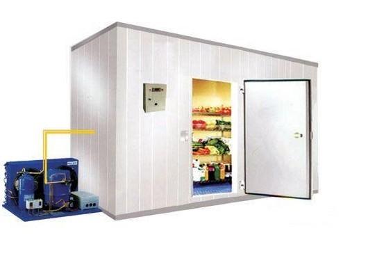 天津冷库安装与设计，果蔬冷藏保鲜冷库