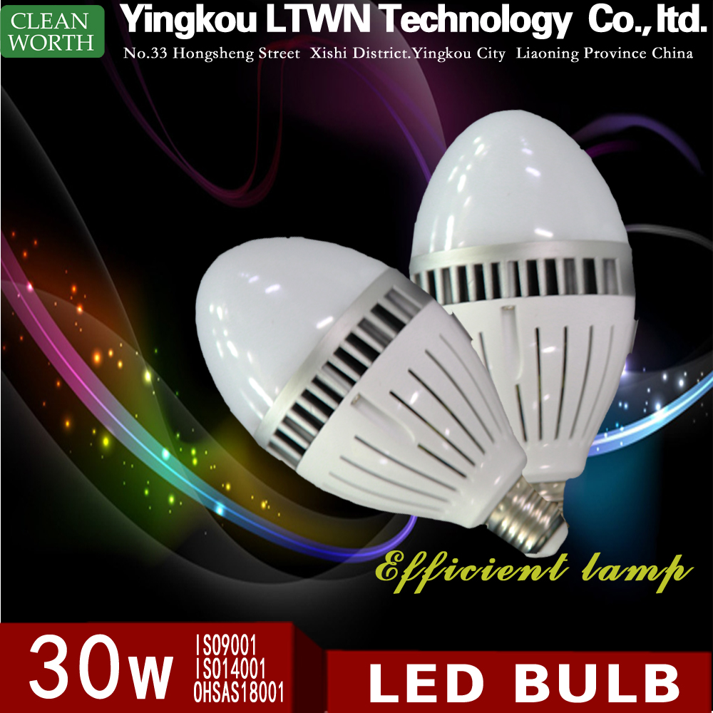 30W LED 球泡灯