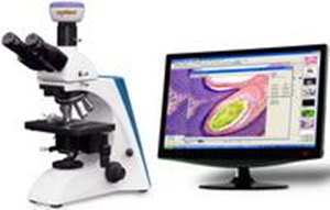 供应 BK系列实验室生物显微镜 显微镜厂家