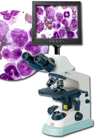福州泉通供应三目医用光学显微镜|微型手术智能显微镜