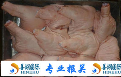供应智利冷冻禽肉上海进口报关代理清关