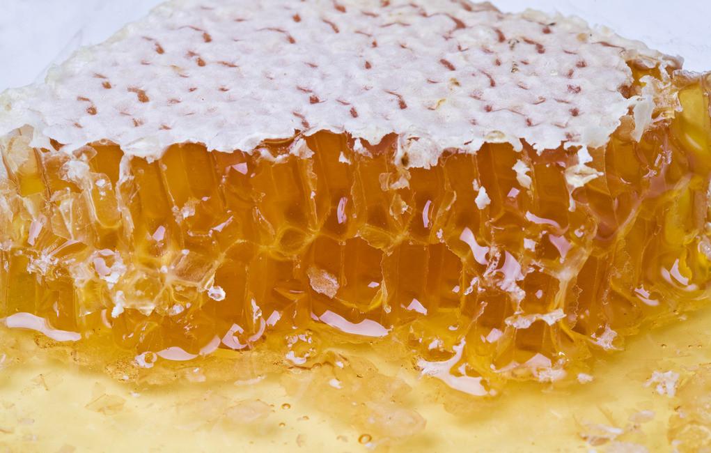 深圳蜂蜜一般贸易进口清关