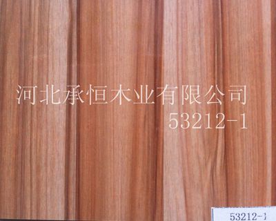 浙江王迪木业厂家直销各种护墙板 医用PVC护墙板华北地区价格较低