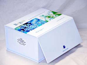 人维生素elisa检测试剂盒价格-elisa检测试剂盒哪家专业