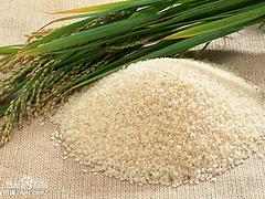 荆门市正立米业-**的大米供货厂家，好吃的荆门优质大米