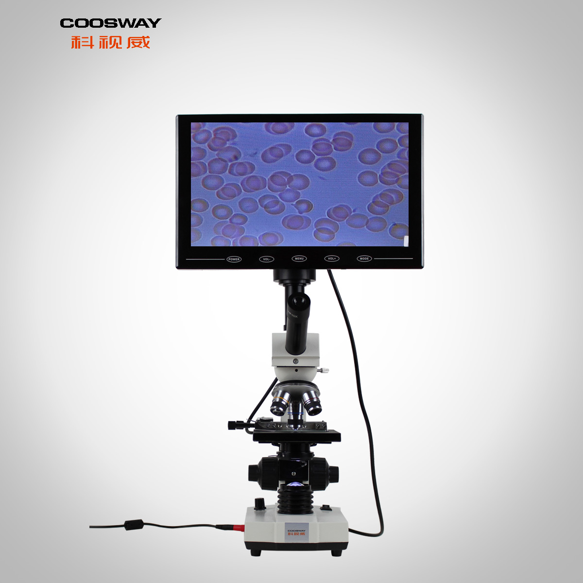 科视威 工厂直供一滴血检测仪专业检测血液粘稠度