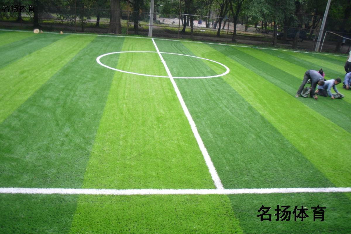 广西桂林贺州人造草坪