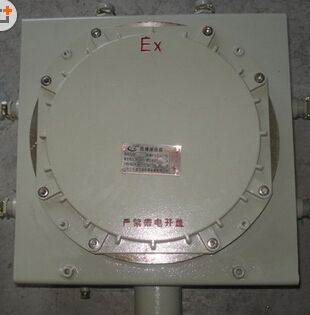 防爆端子箱BXJ8050-20/6VI 4-G3/4防爆防腐接线箱 三防接线箱