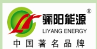 广州骊阳能源科技有限公司