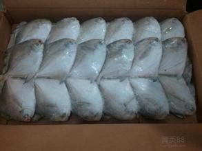 北京冷冻鱼虾进口清关流程