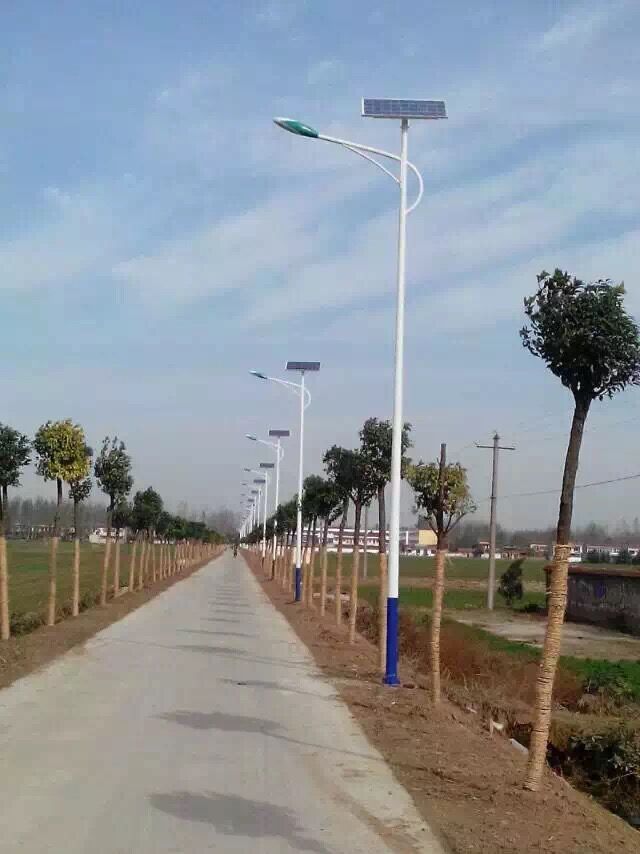 湖南岳阳新农村太阳能路灯/LED路灯厂家/6米-10米太阳能路灯价格