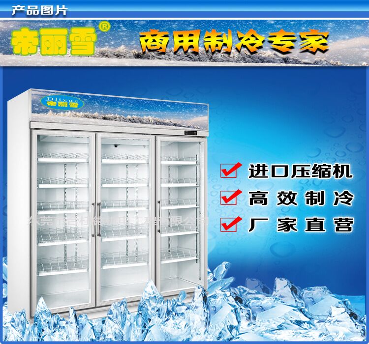 供应冷藏柜冰箱 超市冰柜 双门冰柜展示 东莞生产厂家