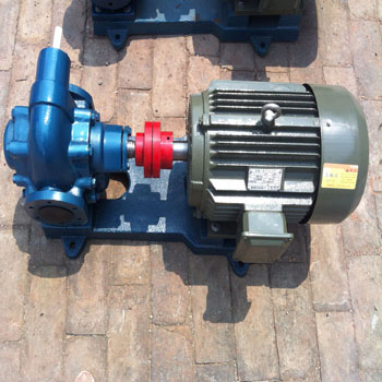 润滑油**泵KCB-200齿轮油泵泵头厂家直销