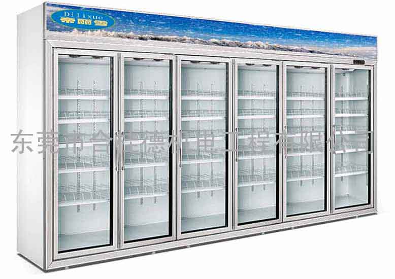 批发冰柜 六门饮料柜 啤酒柜 立式冷藏展示柜 大型冰柜