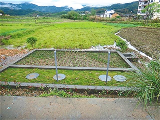 齐齐哈尔地埋式农村生活污水处理设备