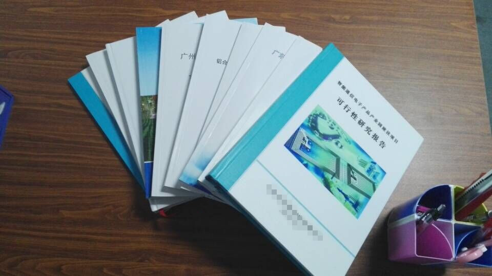 广州专业编制可行性研究报告项目可行性分析报