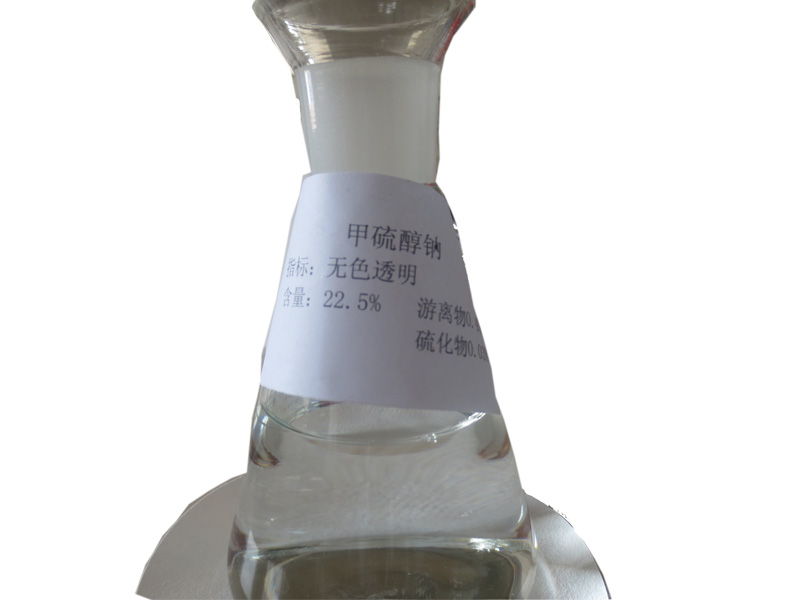 瓶装甲硫醇钠供应 德州区域有品质的甲硫醇钠厂家