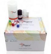 飞净 Phygene 高纯质粒小提试剂盒 PurePlasmid Mini Kit
