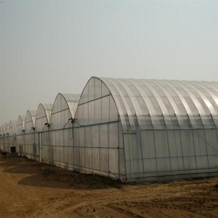 河南田园综合体规划|温室建设|植物工厂|番茄工厂|种植服务