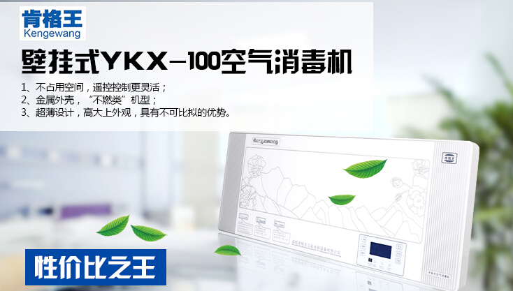 YKX-80肯格王空气消毒机壁挂式