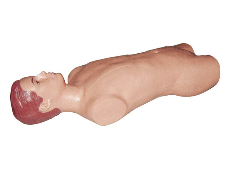 腹部移动性浊叩诊与腹腔穿刺训练模型