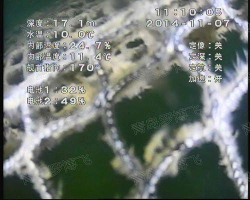 水下机器人观察网箱养鱼的视频效果