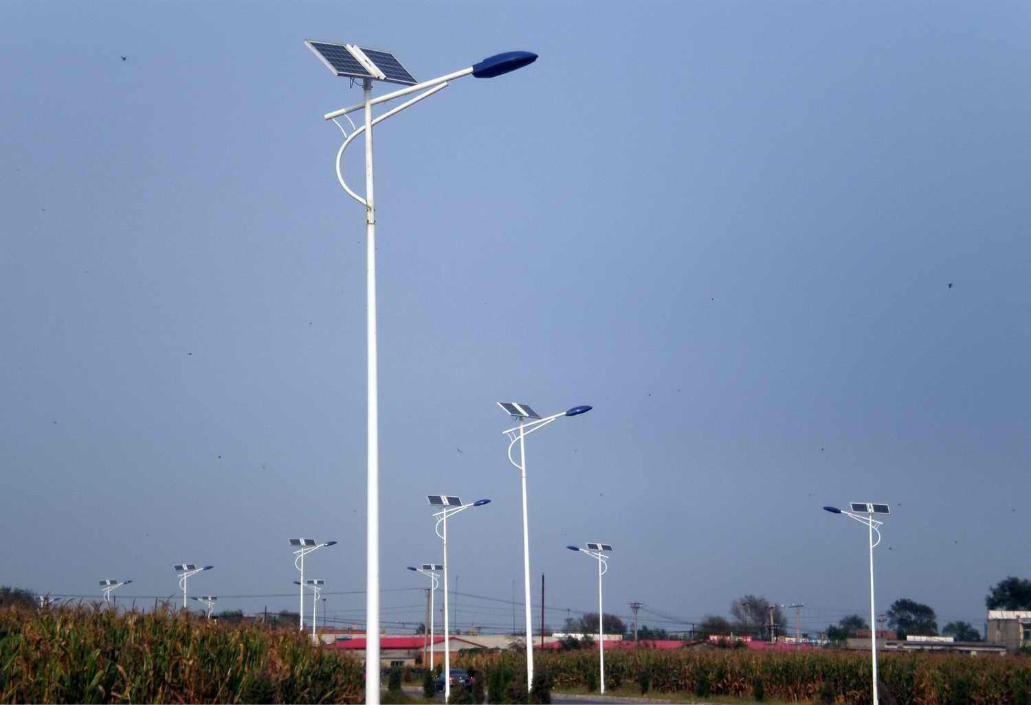 厂家直销湖南宁乡、湘潭、汨罗、新农村建设6米30W太阳能路灯